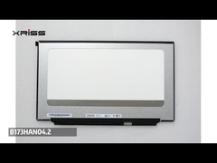 B173HAN04. ¿Qué quiere decir?2